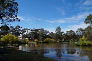 Deluxe King Spa Suite - Magdala Nothern Grampians Motel Accommodation