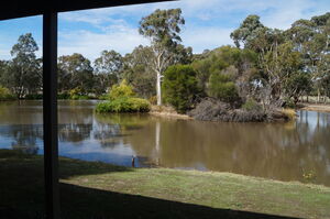 Deluxe King Spa Suite - Magdala Nothern Grampians Motel Accommodation